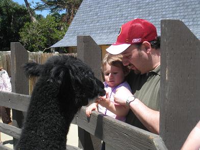 with-alpaca-at-zoo.JPG