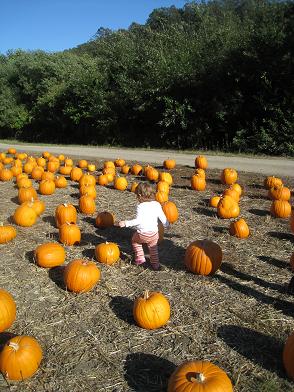 running-around-pumpkins.JPG